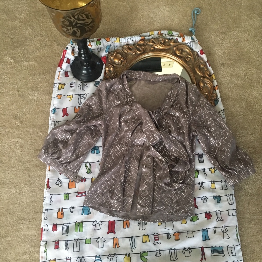 Shimmery Blouse by The Limited